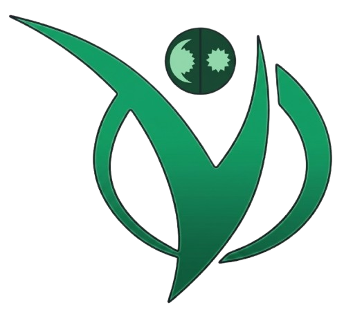 Voyager IT logo